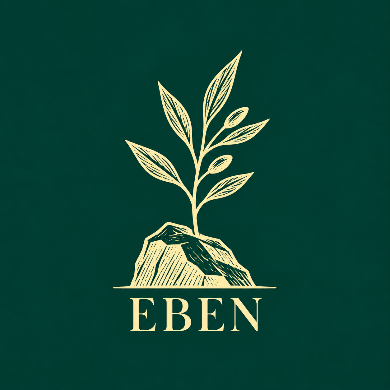 Logo de EBEN, una planta creciendo sobre una piedra